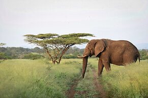 Mavela Game Lodge