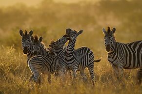 Mavela Game Lodge