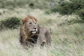Mavela Game Lodge