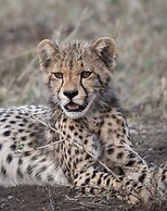 Mavela Game Lodge