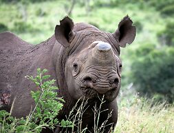 Mavela Game Lodge