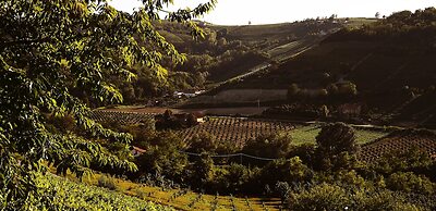 Villa Garassino