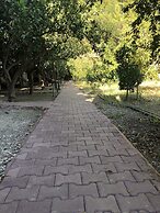 Olympos Varuna Pansiyon