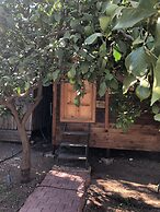 Olympos Varuna Pansiyon