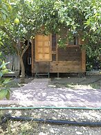 Olympos Varuna Pansiyon