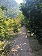 Olympos Varuna Pansiyon