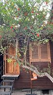Olympos Varuna Pansiyon