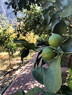 Olympos Varuna Pansiyon