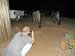 Kruger Inn Backpackers