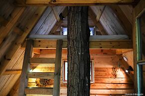 Chimo Refuges Treehouse Resort