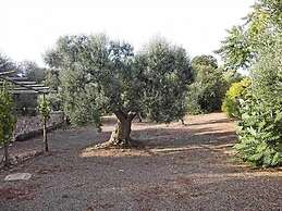 Riposo Del Vento