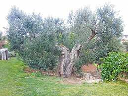 Riposo Del Vento
