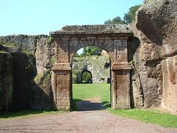 Etruria Life