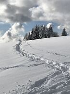 Der Hirschen