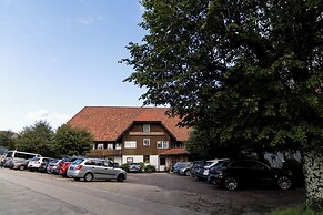Der Hirschen