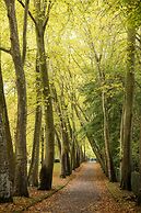 Le Domaine de Courances