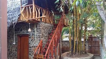 Lizard Safari Lodge