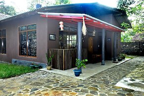 Lizard Safari Lodge
