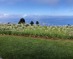 Quinta Inácia by Our Madeira