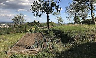 Agriturismo Castagna Amara