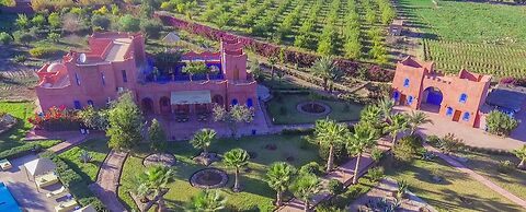 Riad Beloiseau