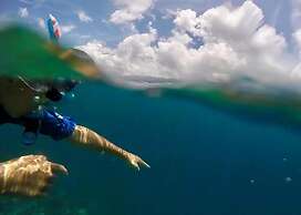 Vaiula Beach Fales
