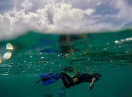 Vaiula Beach Fales