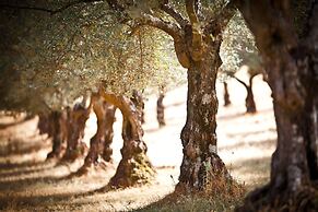 Finca La Ramallosa