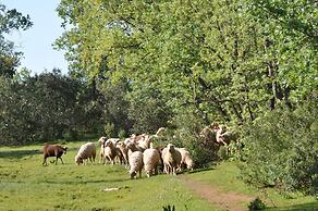 Finca La Ramallosa