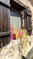 Assos Sunset Boutique Hotel
