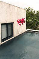 Panacea Condo Tulum