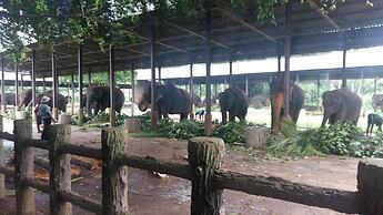 Basilico Homestay
