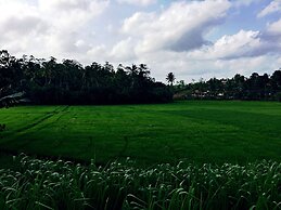 Thaaru Guest