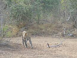 Wadula Safari Yala
