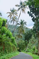 Paradise Eco Garden