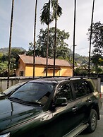 Tropical Suites