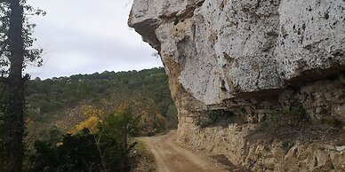 Mas de l'Arlequi Casa rural