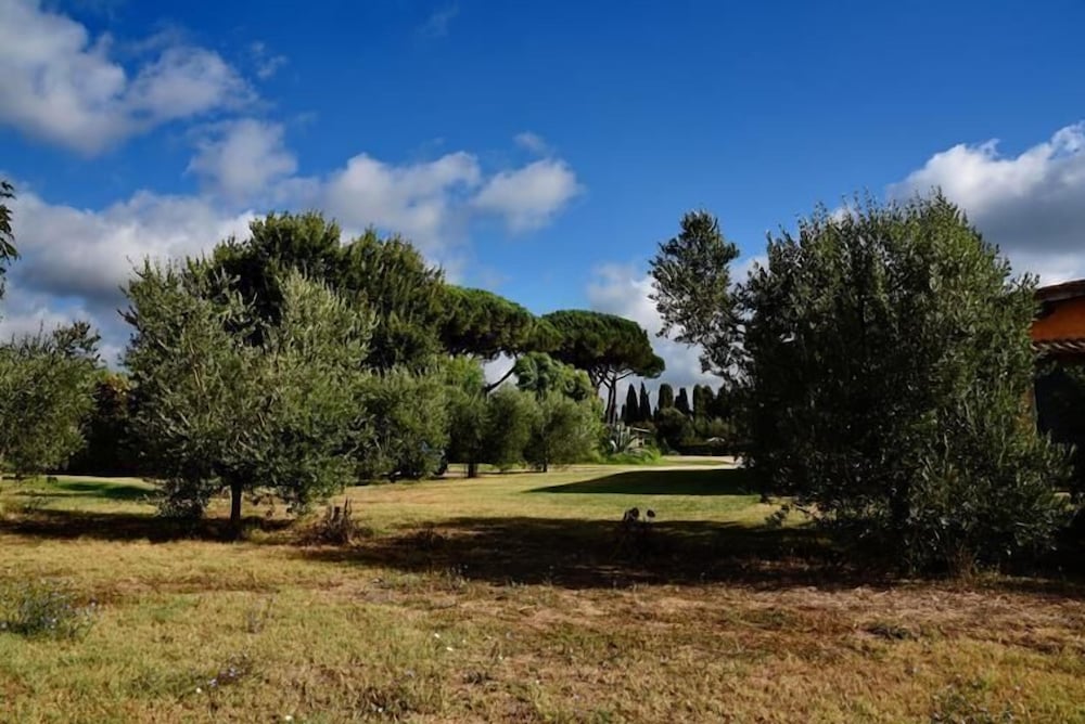 Vigna Di Valle