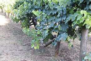 Vigna Di Valle