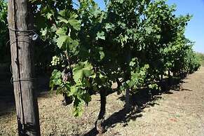 Vigna Di Valle
