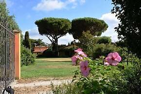 Vigna Di Valle