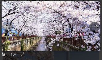 May Kameido