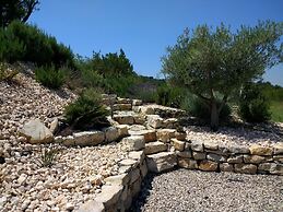Les Agaves