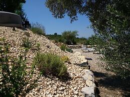 Les Agaves