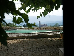 Les Agaves