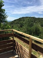Les Agaves