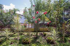 Rumah Kost MAPLE Winangun