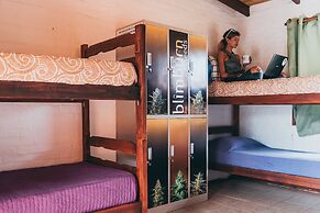 THC Hostel Uruguay