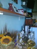 Il Girasole