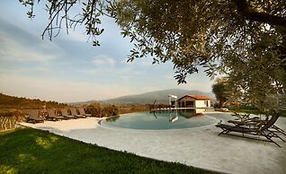 Vinifera Vineyards Hotel